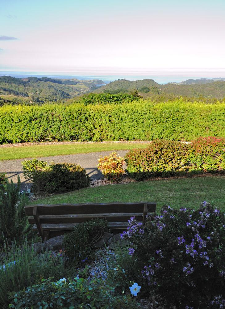 Hopewell B&B Helena Bay Exterior foto